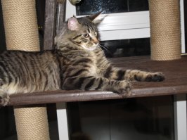 а канат надо использовать сезалевый. ;)