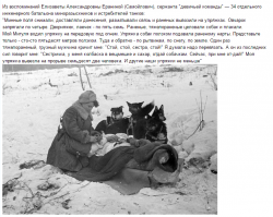 10 знаменитых собак Второй мировой войны