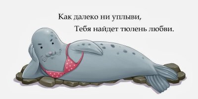 Осиротевший тюлененок приполз за помощью к людям