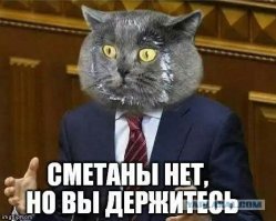 Потребительская корзина россиянина: как государство представляет нашу жизнь