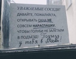 Брехня! В Питере подъездов нету!