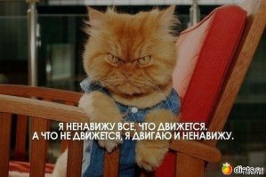 Очередная подборка картинок с подписями