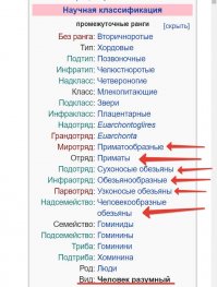 "ну если не от обезьян,то остается одно-божественное участие,но вот только религии современные мне не нравятся"

Позволю себе вмешаться, надеюсь megabax не будет против.
Это типичная ложная дилемма. Если не от обезьяны, то от бога. А как же другие варианты? От рыбы, крокодила и т.д.? К подобному в совокупности с другими логическими ошибками и уловками прибегают верующие. 
На самом деле человек произошёл от более древних животных и у нас есть общие предки со всеми живыми существами на планете: с жирафами, шампиньонами, морскими коньками, медузами и конечно грецкими орехами. 200 миллионов лет назад наши предки были рыбами и поэтому корректно говорить, что человек произошёл от рыбы. Самые наши близкие генетические родственники - обезьяны, но утверждать, что человек произошёл от обезьяны некорректно потому, что человек ЯВЛЯЕТСЯ обезьяной. 
Скриншот из официальной классификации человеков: