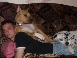 Домашние питомцы пользователей Фишек