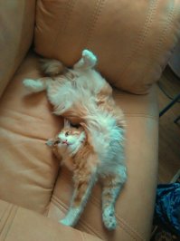 наш Бобарысь