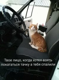 наш Бобарысь