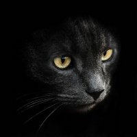 Вот эти давно уже видел, когда то на телефоне стояли(лет 10-12 назад)... Чудесные фото!!!