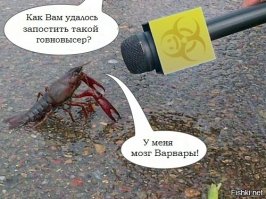 Кинофишки: Одинокие женщины желают познакомиться