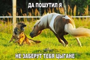 Очередная подборка картинок с подписями