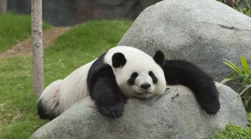 Я отсюда посмотрю))