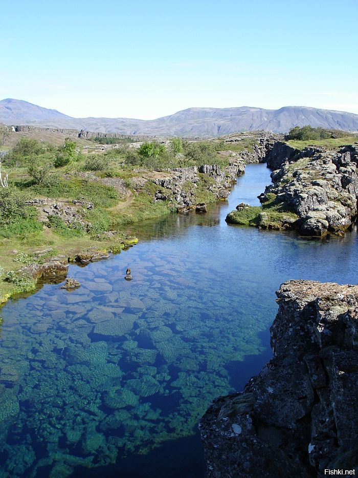 Силфра (Silfra) - ущелье, которое является частью Атлантического разлома и разделительной линией между континентами Европа и Америка и находится в национальном парке Тингвеллир (Thingvellir) в Исландии. Силфра - это излюбленное место для дайверов, вода здесь настолько чистая, что ее можно даже пить

В ущелье Силфра вода холодная (в течение всего года составляет лишь 2-4 градуса Цельсия) и чистая, настолько, что ее можно пить. Все дело в том, что вода в ущелье появляется благодаря таянию ледника на горе Hofsjokull, и прежде чем попасть в Силфру она проходит все круги природной очистки. Ущелье пользуется огромной популярностью у дайверов, ведь видимость в воде составляет до 300 метров, а проплывая по нему можно коснуться одновременно обеих частей света   Европы и Америки. Также Силфра поражает своей красотой подводного мира.

Ущелье разделяется на 3 секции: Silfra Hall (Зал), Silfra Cathedral (Ущелье) и Silfra Lagoon (Лагуна). Когда только погружаетесь в ущелье, Вы попадаете в первую секцию, проплыв этот "зал", далее попадаете в само ущелье, которое, пожалуй, самое красивое, здесь как раз и соединяются континенты. Глубина этого участка составляет - 20 метров, а длина от одной стены ущелья до другой около 200-300 метров. Проплыв этот участок, Вы попадаете в подводное озеро (лагуну), глубина которого около 2 метров, и диаметром около 150 метров, это заключительная часть путешествия в ущелье.