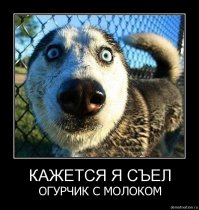 Очередная подборка картинок с подписями