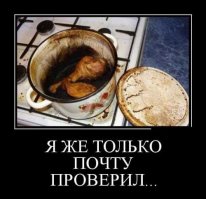 20 творений неудачников от кулинарии