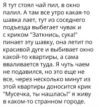мечтать не вредно, но я всё равно хочу к ним!)
 и второе - от такого пинка да маленькой собаке, перелом позвоночника гарантирован + истошный визг (если конечно не потеря сознания от болевого шока) в течении долгого времени. короче - пи*з*дёж чистой воды.