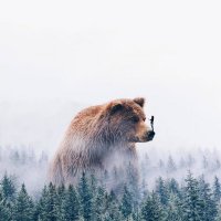 "Кинг - Конг" Русская версия