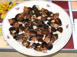 Да, господи, немного по Азии проехаться нужно. Конфетки со вкусом сырого мяса например или засахаренного кальмара. Хотя как говорил Данди - есть всё это можно, хотя на вкус дерьмо.