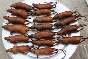 Да, господи, немного по Азии проехаться нужно. Конфетки со вкусом сырого мяса например или засахаренного кальмара. Хотя как говорил Данди - есть всё это можно, хотя на вкус дерьмо.