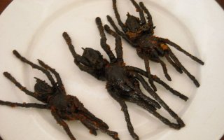 Да, господи, немного по Азии проехаться нужно. Конфетки со вкусом сырого мяса например или засахаренного кальмара. Хотя как говорил Данди - есть всё это можно, хотя на вкус дерьмо.