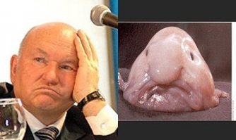 Около Австралии поймали считавшуюся вымершей рыбу без лица