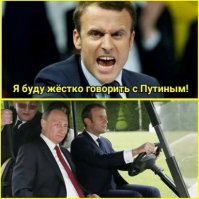Шуть шуть политики