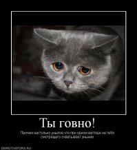 Что американцу хорошо, то русскому не понять