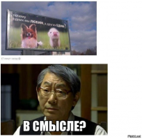 Самые омерзительные блюда планеты