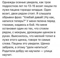 А здесь в каком месте начинать смеяться?