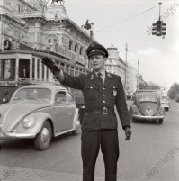 ..привычка осталась зигу кидать)