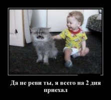 Вот почему каждому ребёнку нужен кот