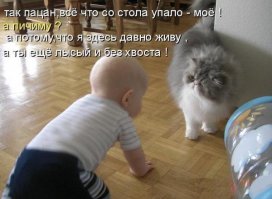 Вот почему каждому ребёнку нужен кот