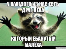 Смешные картинки с надписями