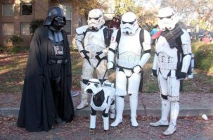 Косплей подборка по вселенной Star Wars