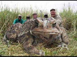 В США охотник поймал 6-килограммовую царевну-лягушку