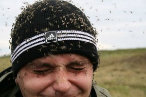 За что мы любим лето