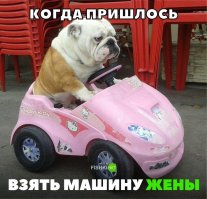 Трехколесный британский микроавтомобиль за сотню тысяч долларов