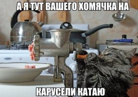 Подборка смешных картинок из Интернета