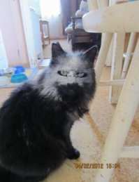 Хреновый кокс , не вштыривает ...