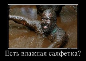 Свиньи дня