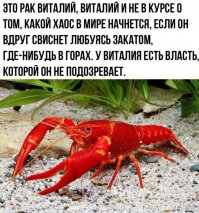 Автор картинки сам как Виталий - не в курсе, как выглядит РАК и не подозревает, что ВАРЕНЫЕ РАКИ НЕ СВИСТЯТ.