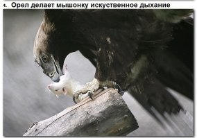 Сразу вспомнилось.