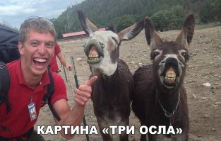 Очередная подборка картинок с подписями