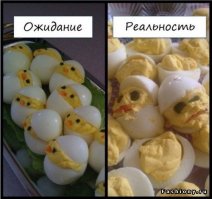 Самые омерзительные блюда планеты
