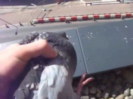 Очередная подборка картинок с подписями