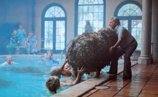 Точно осиных!?