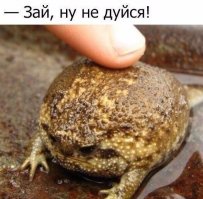 А поцеловать ?