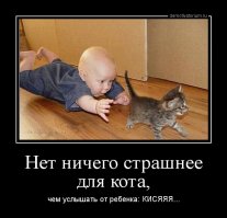 Вот почему каждому ребёнку нужен кот