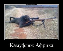 Камуфляж снайперов