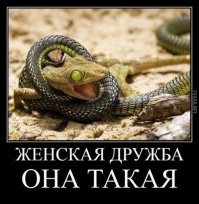 Цитаты о женской дружбе