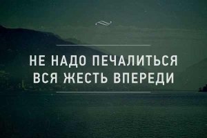 Новая жена 