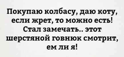 20 вещей, которые поймут только кошатники